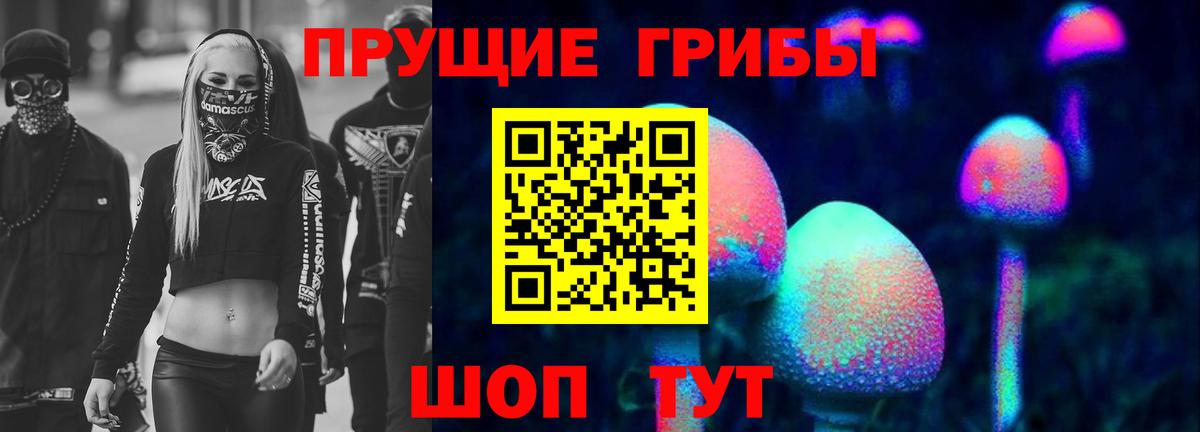 Галлюциногенные грибы Cubensis Бугуруслан
